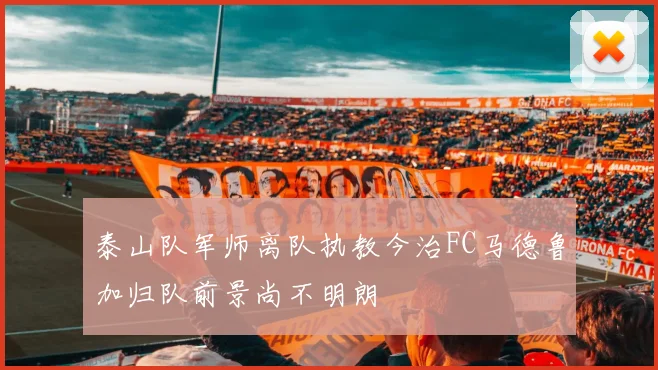 泰山队军师离队执教今治FC马德鲁加归队前景尚不明朗